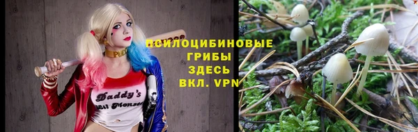 тгк Баксан