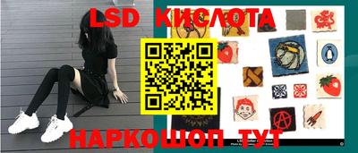 прущие грибы Вязьма