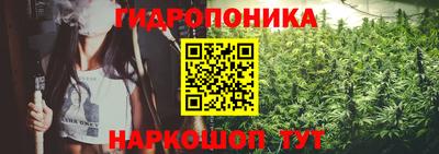 прущие грибы Вязьма