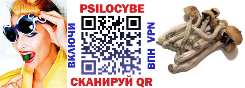 Галлюциногенные грибы MAGIC MUSHROOMS  Великий Устюг 