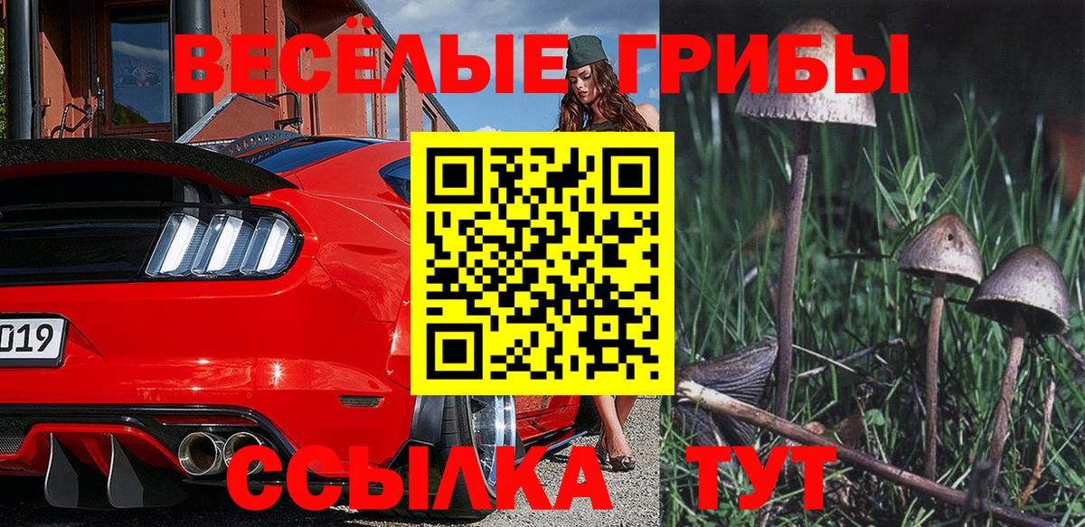 Великий Устюг  Галлюциногенные грибы мицелий  закладка  Вход с VPN 