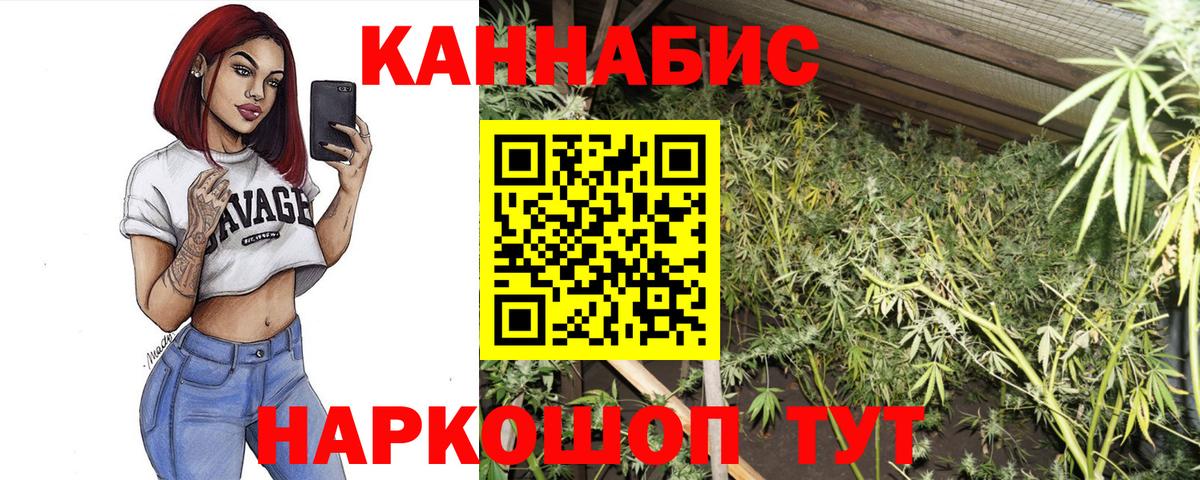 Каннабис семена  Вход с VPN  Великий Устюг  Шишки марихуана индика 